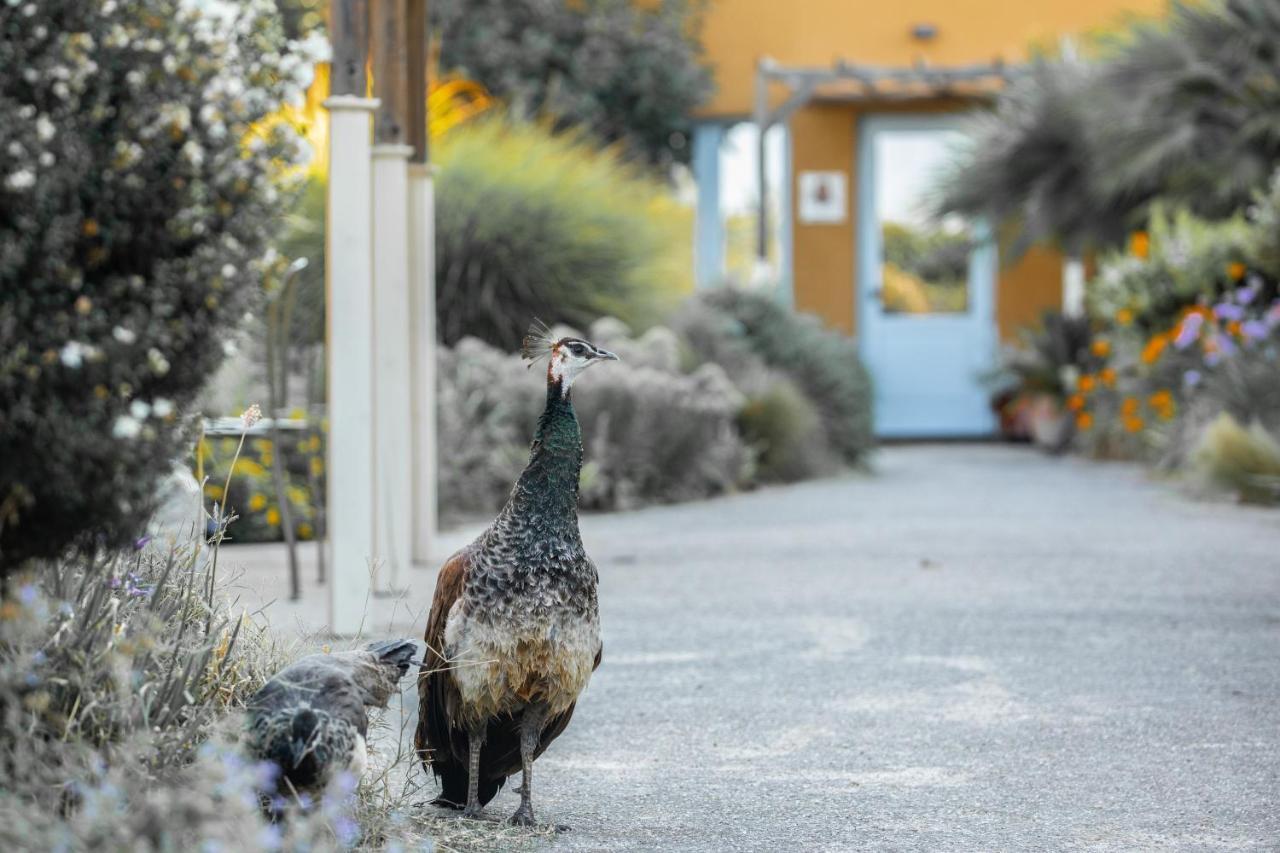 Aquae Sinis Albergo Diffuso カブラス エクステリア 写真