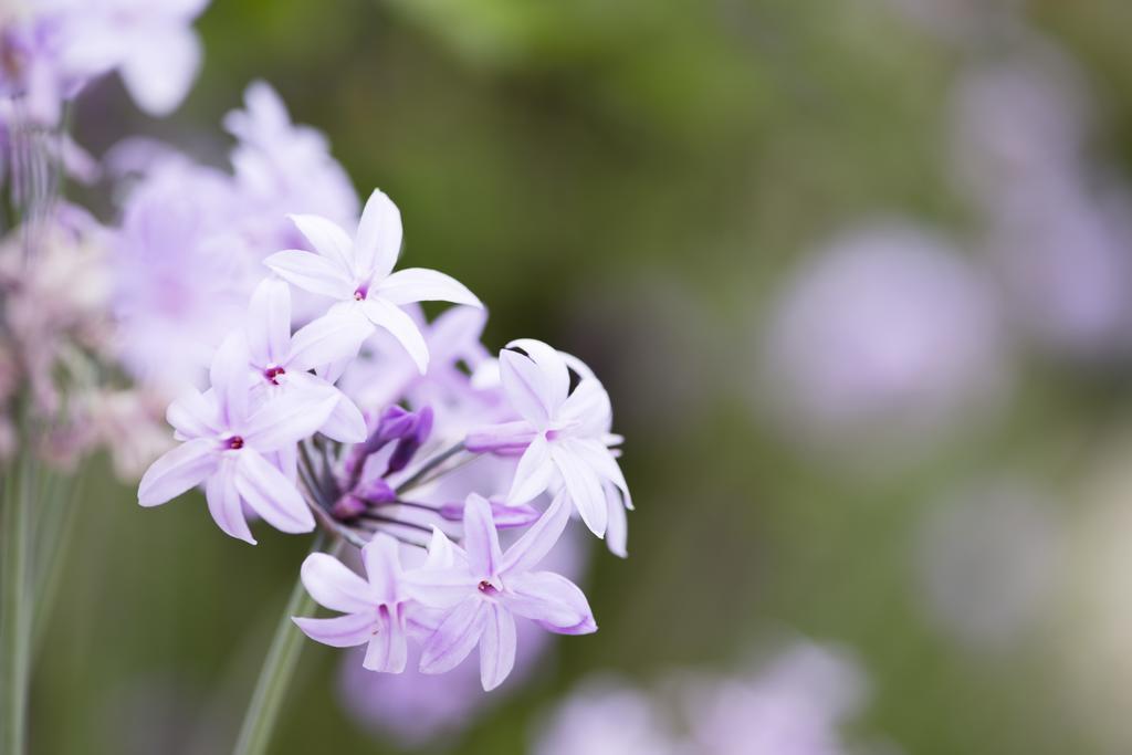Aquae Sinis Albergo Diffuso カブラス エクステリア 写真